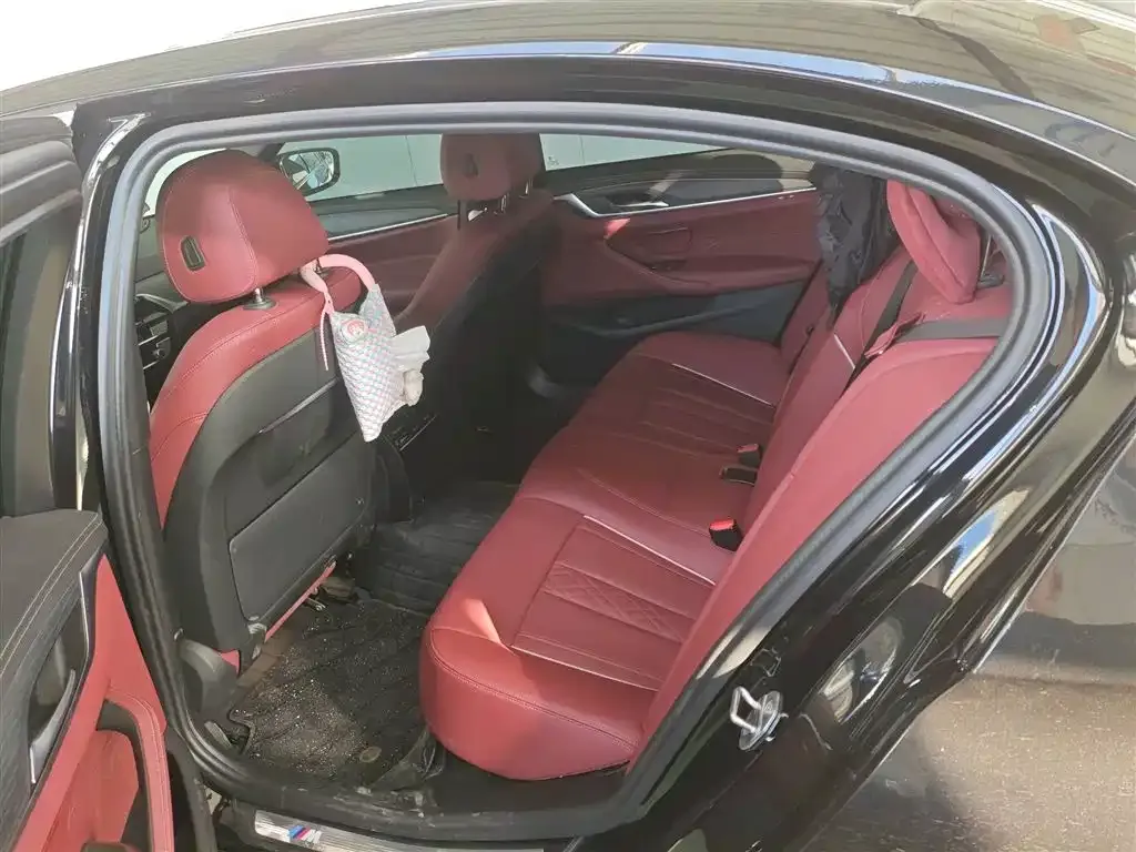 BMW 5 Series 2024 из CN, фото 5