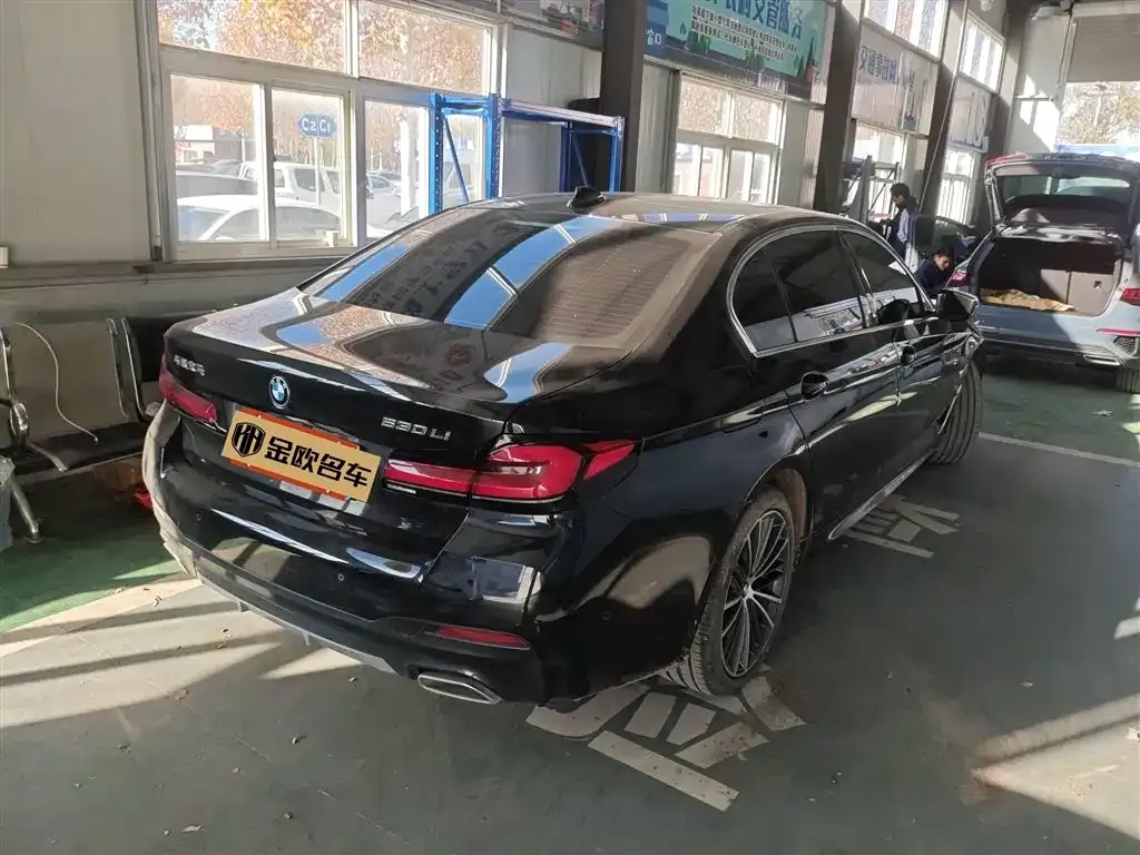 BMW 5 Series 2024 из CN, фото 8