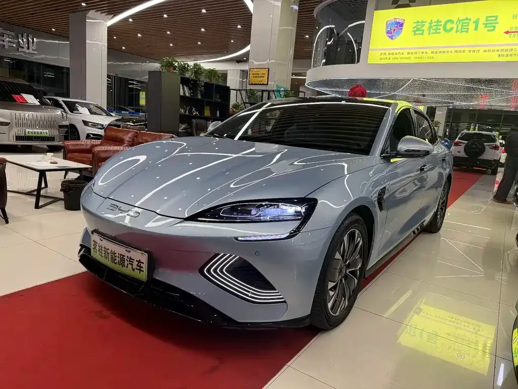 BYD Seal 2023 из CN, фото 1