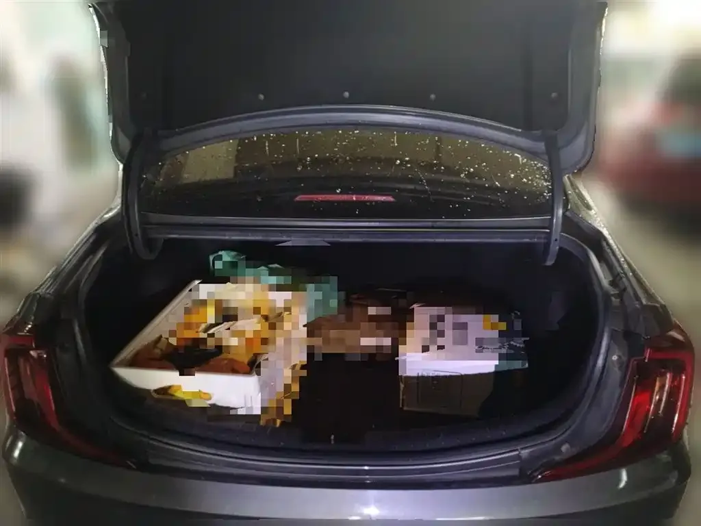 Hyundai Mistra 2021 из CN, фото 10