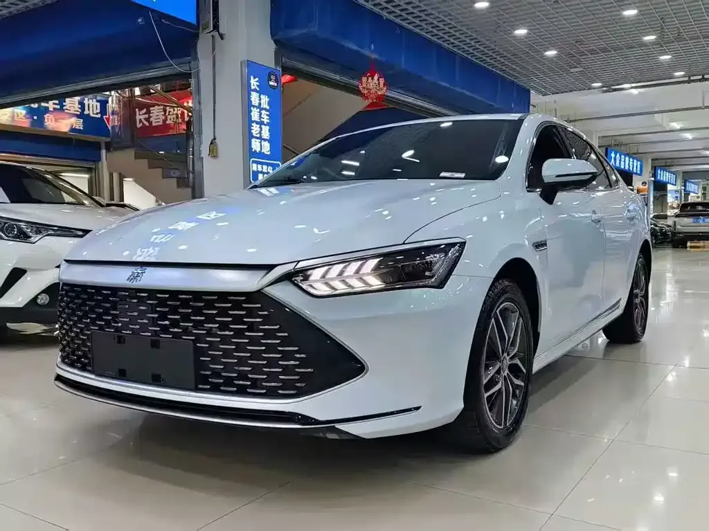 BYD Qin PLUS — фото 1