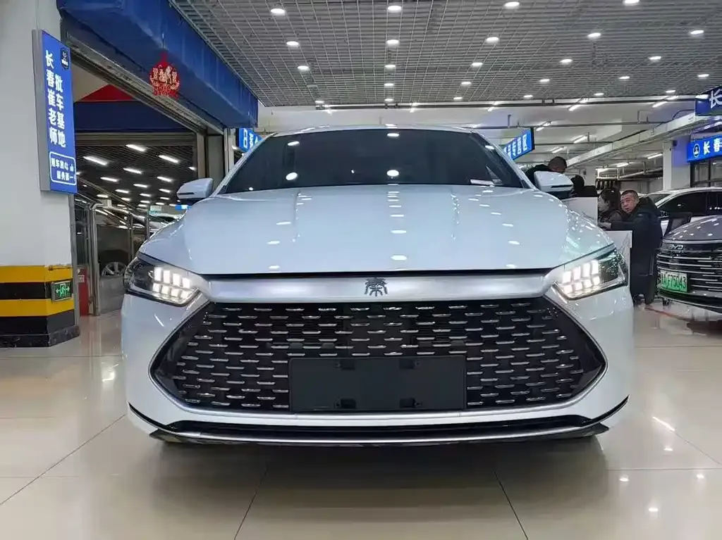 BYD Qin PLUS — фото 2