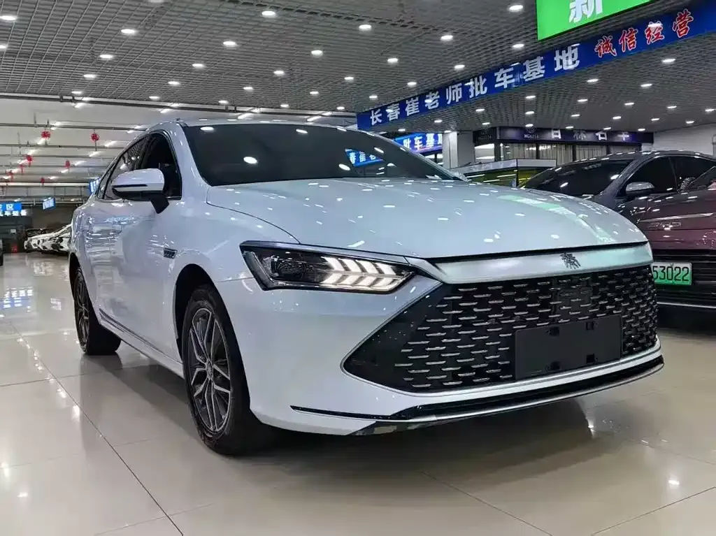 BYD Qin PLUS — фото 3