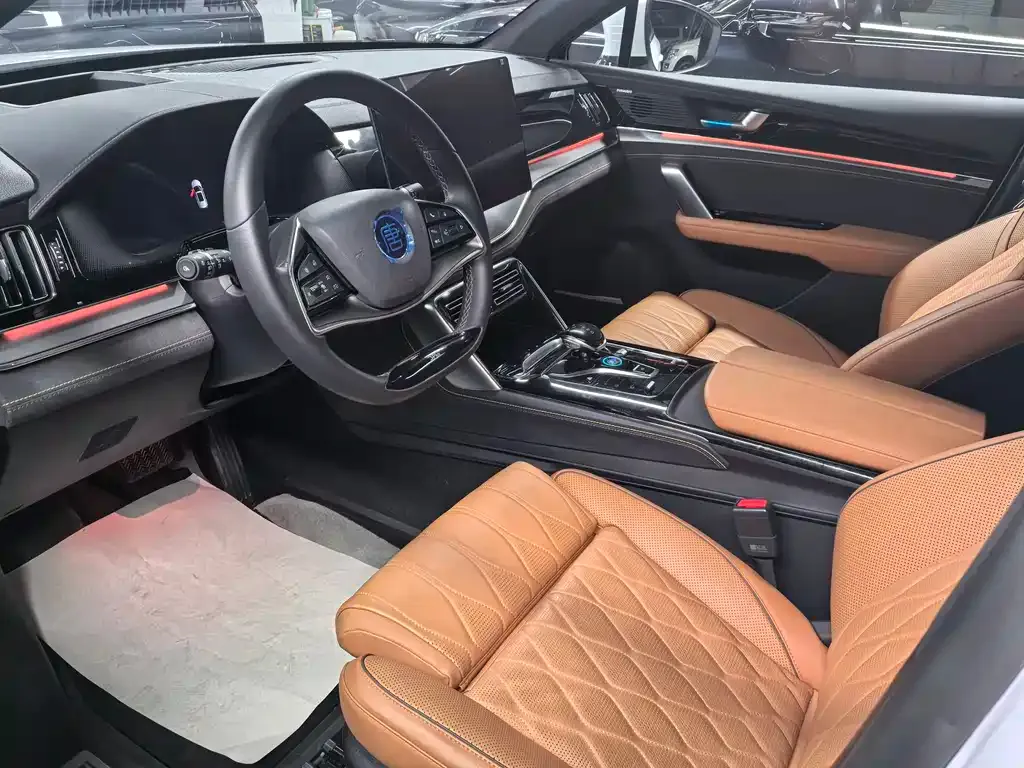 BYD Tang New Energy 2024 из CN, фото 6