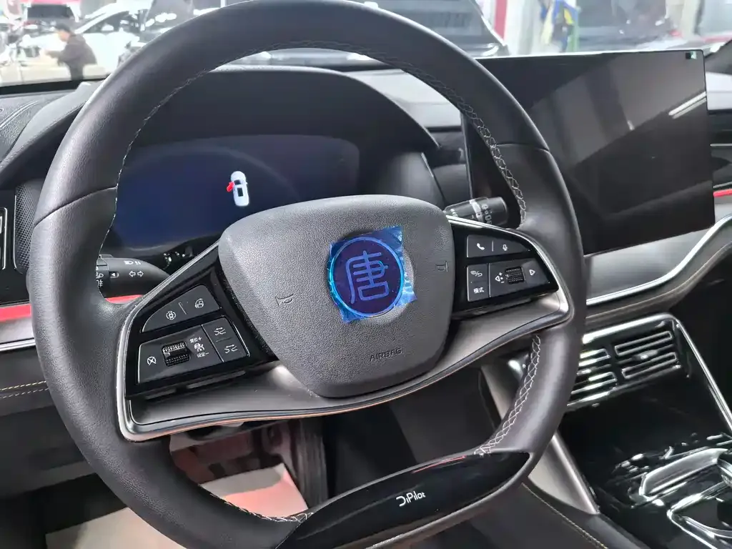 BYD Tang New Energy 2024 из CN, фото 9