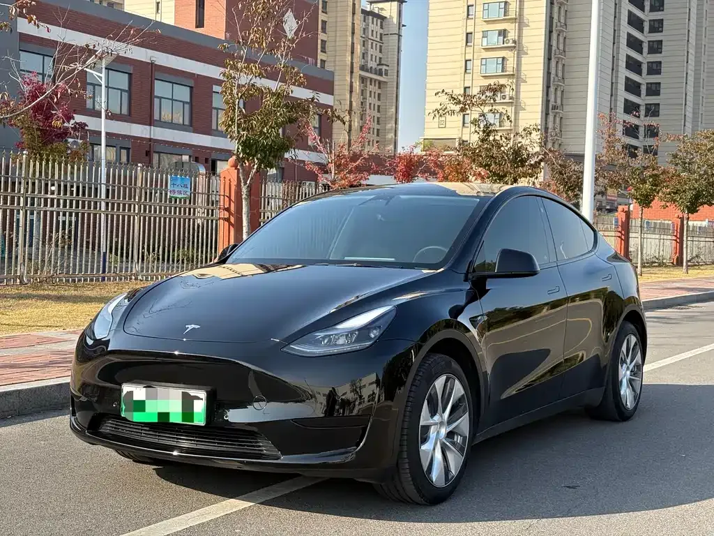 Tesla Model Y 2023 из CN, фото 2