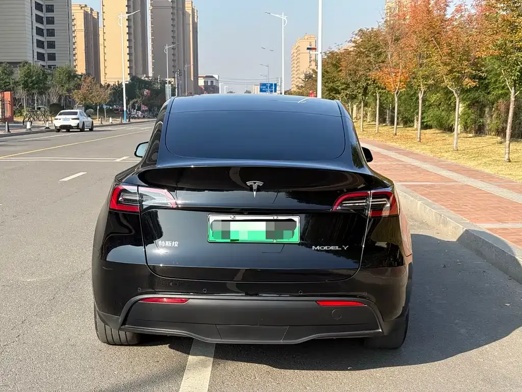 Tesla Model Y 2023 из CN, фото 3