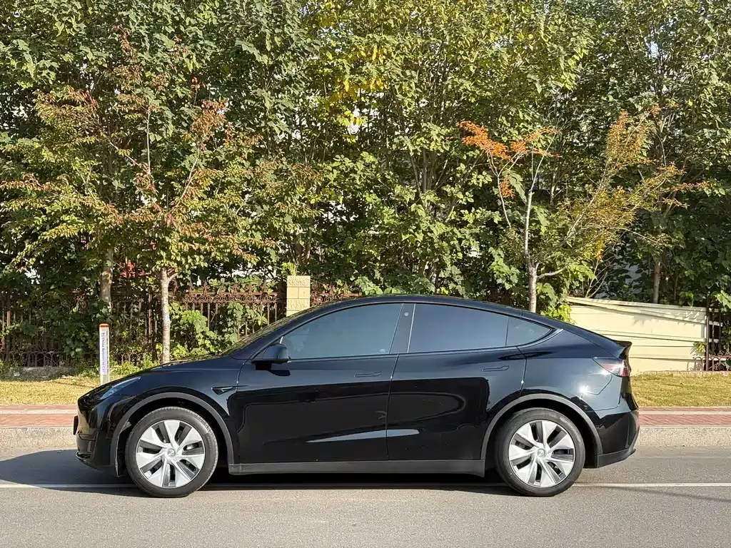 Tesla Model Y 2023 из CN, фото 5
