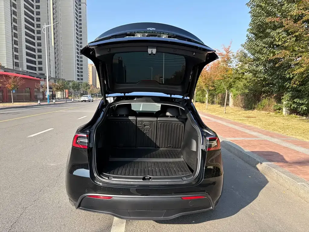 Tesla Model Y 2023 из CN, фото 6