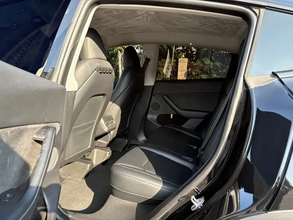 Tesla Model Y 2023 из CN, фото 8