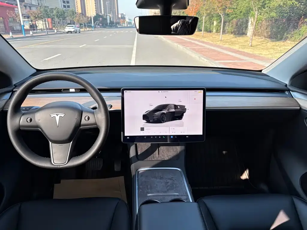 Tesla Model Y 2023 из CN, фото 9