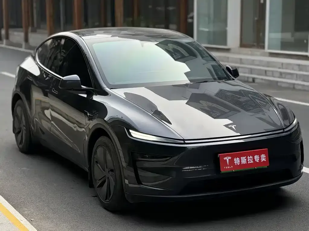 Tesla Model Y — фото 2