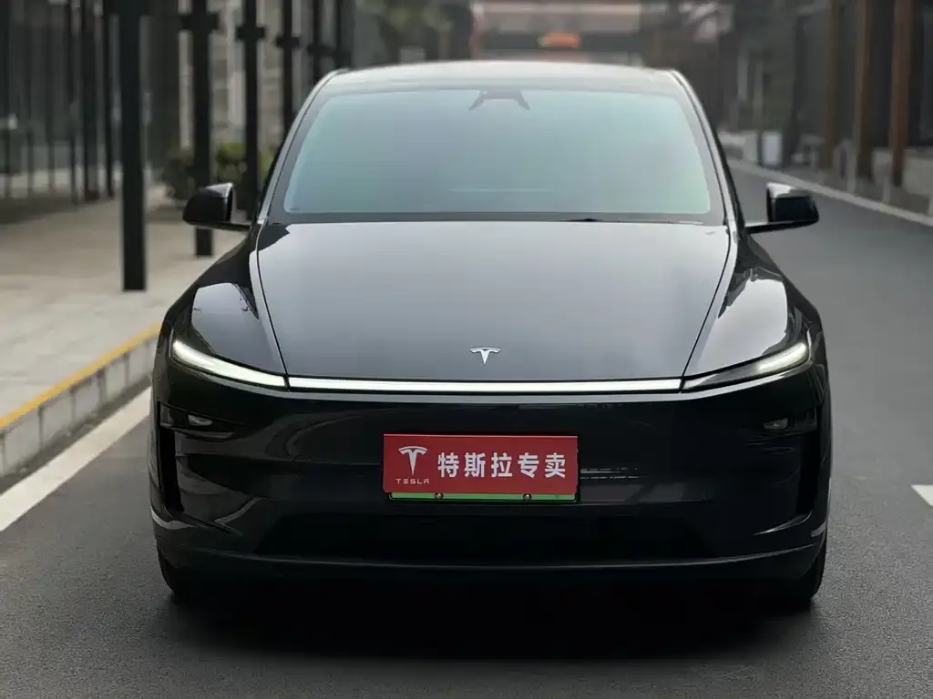 Tesla Model Y — фото 3