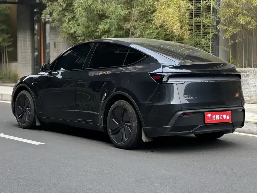 Tesla Model Y — фото 7