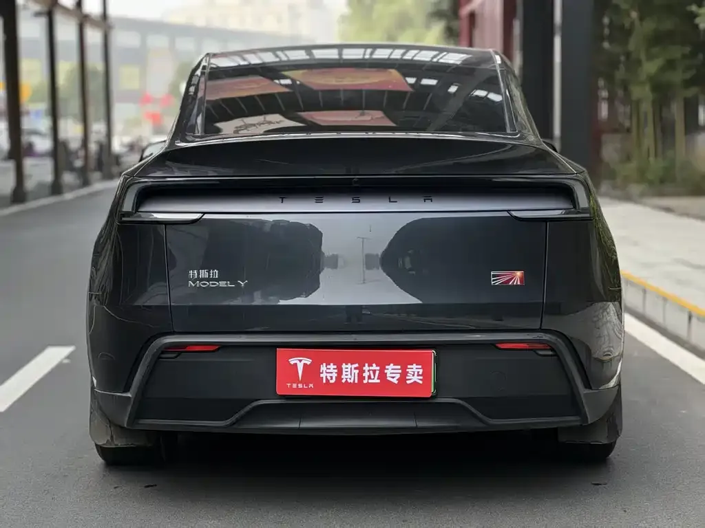 Tesla Model Y — фото 8