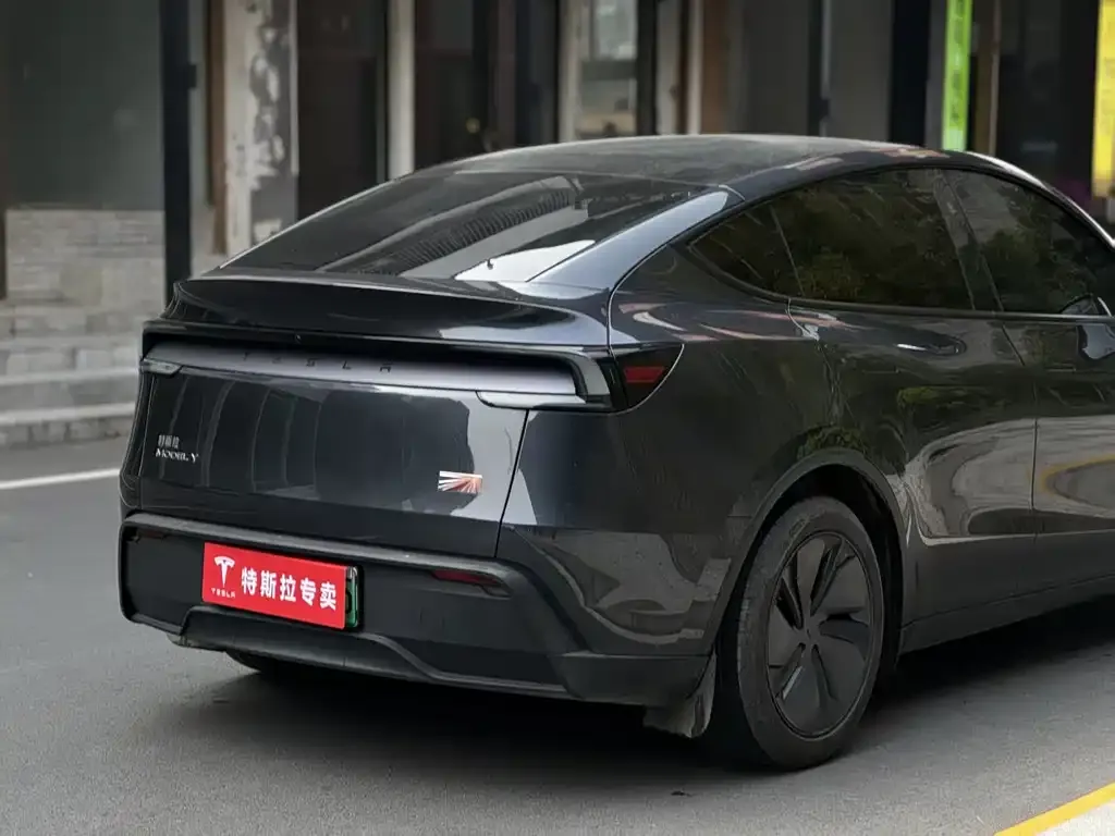 Tesla Model Y — фото 9