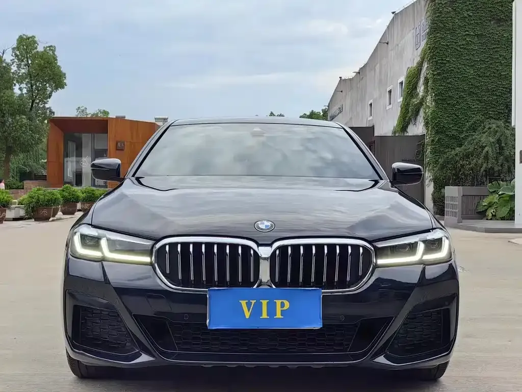BMW 5 Series 2021 из CN, фото 2