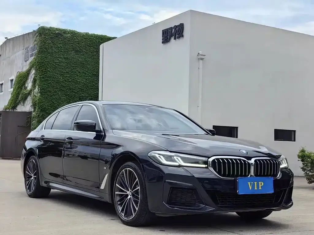 BMW 5 Series 2021 из CN, фото 3