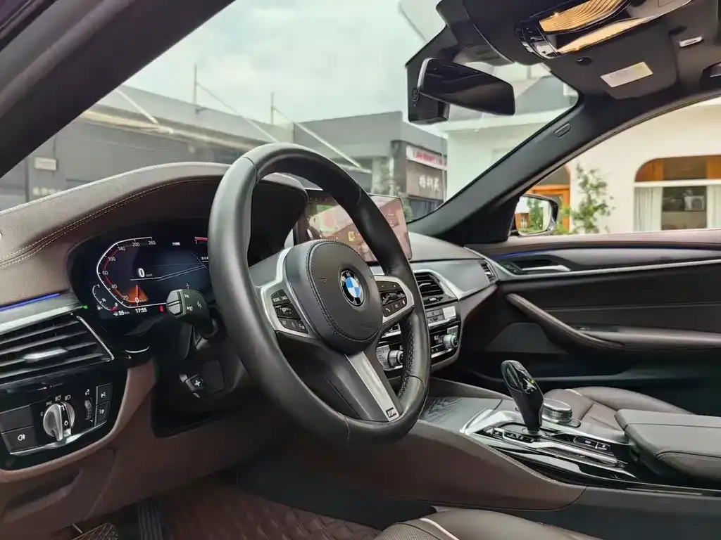 BMW 5 Series 2021 из CN, фото 4