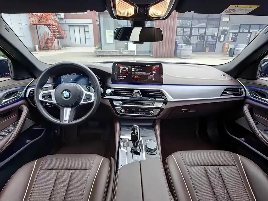 BMW 5 Series 2021 из CN, фото 5