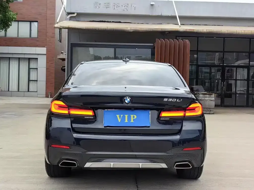 BMW 5 Series 2021 из CN, фото 9
