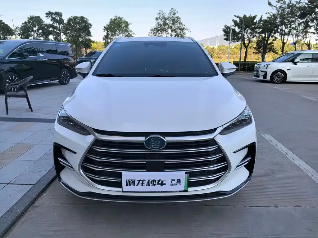 BYD Tang New Energy 2022 из CN, фото 2