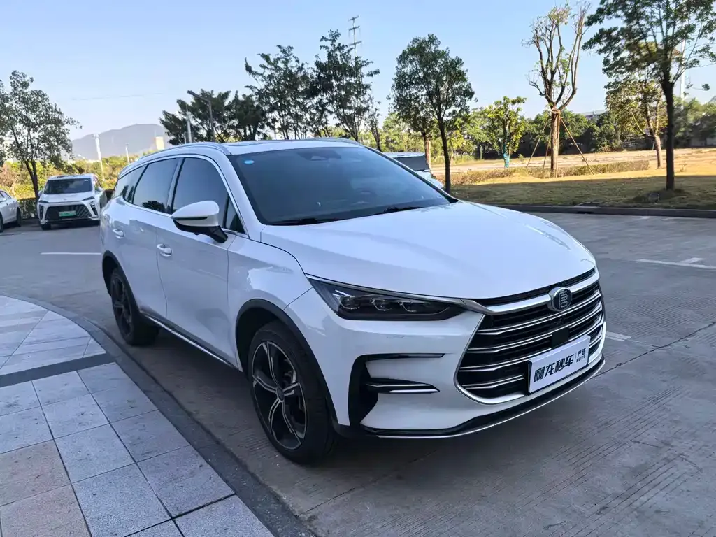 BYD Tang New Energy 2022 из CN, фото 3