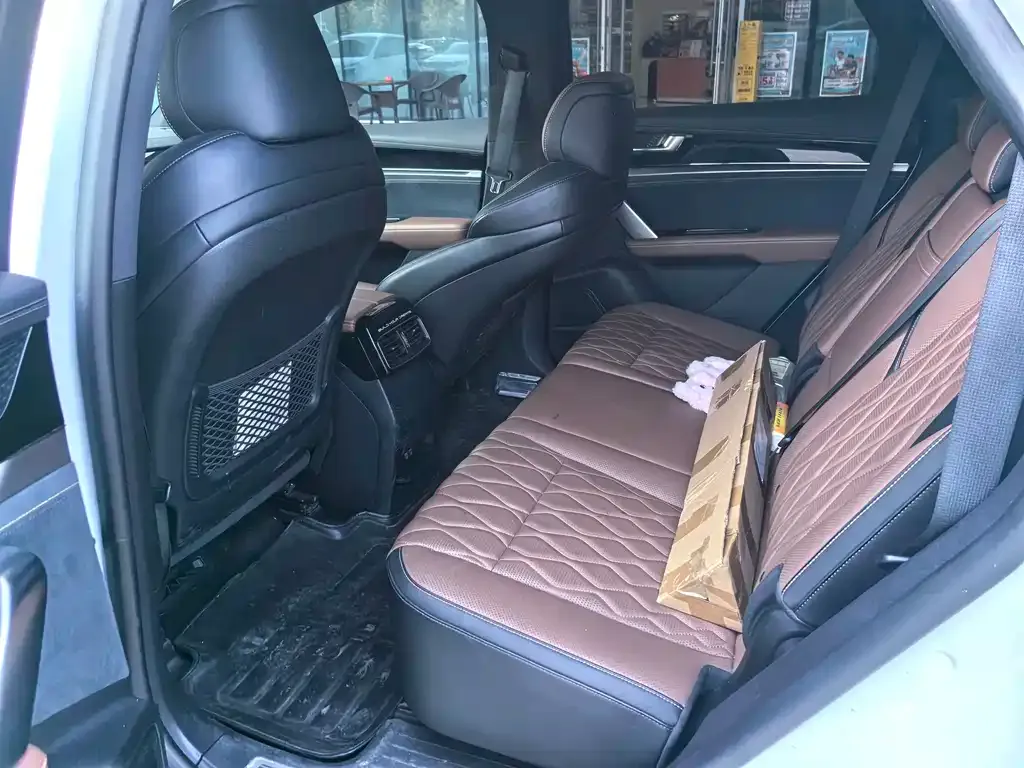 BYD Tang New Energy 2022 из CN, фото 6