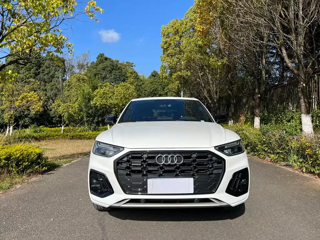 Audi Q5L 2023 из CN, фото 1