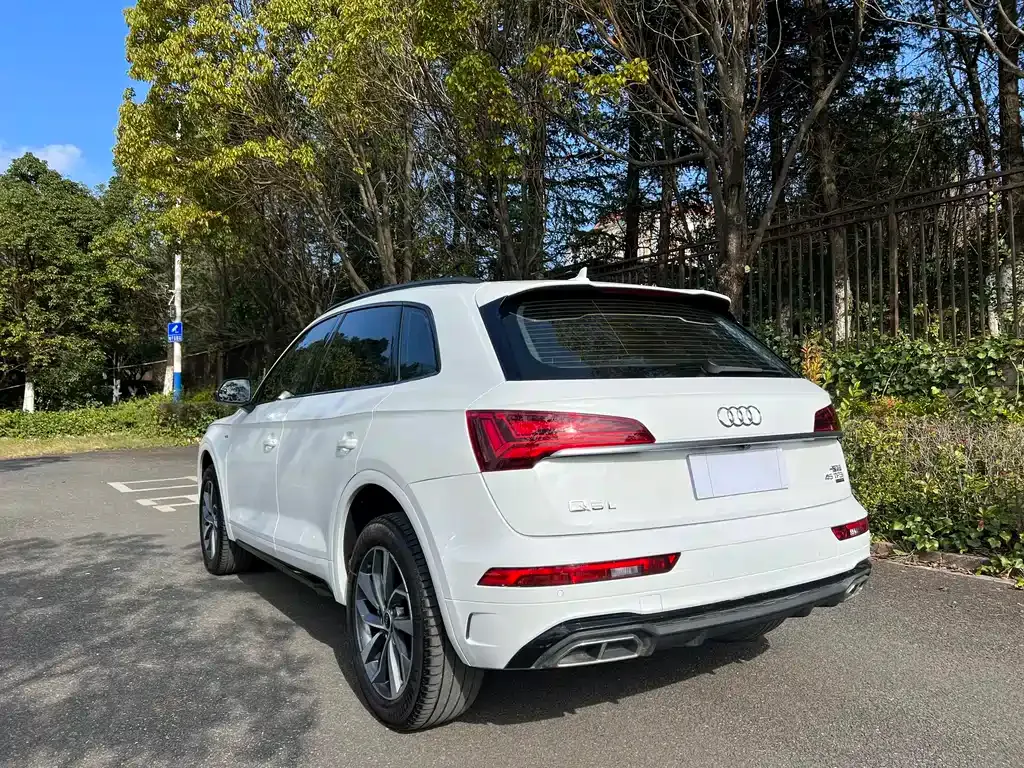 Audi Q5L 2023 из CN, фото 6