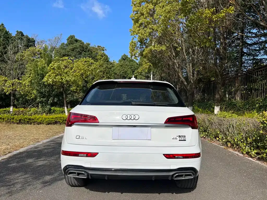 Audi Q5L 2023 из CN, фото 7