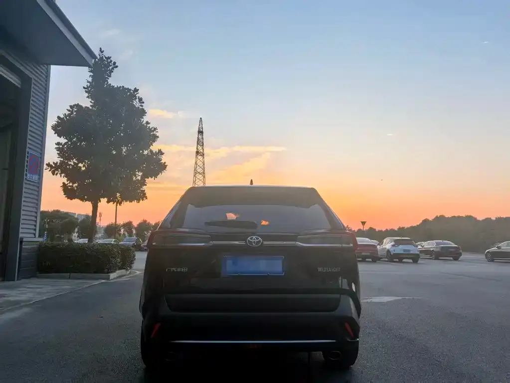Toyota Wildlander 2021 из CN, фото 3