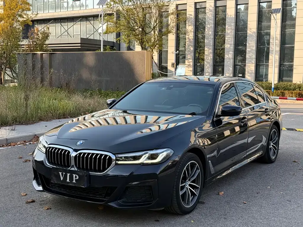 BMW 5 Series 2022 из CN, фото 1
