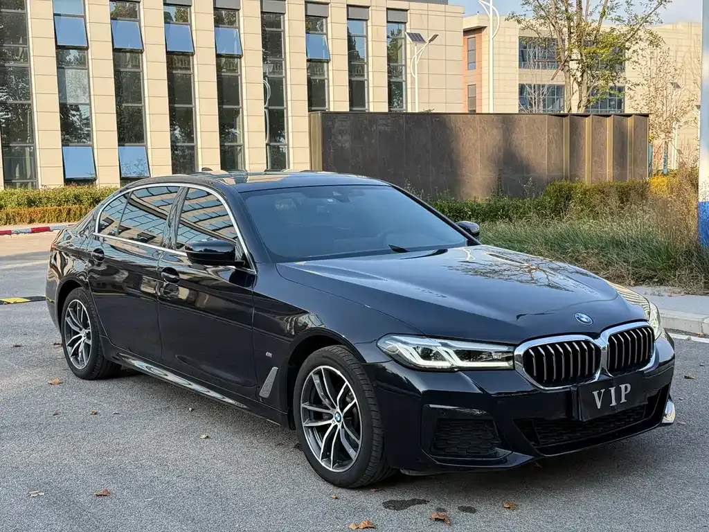 BMW 5 Series 2022 из CN, фото 3