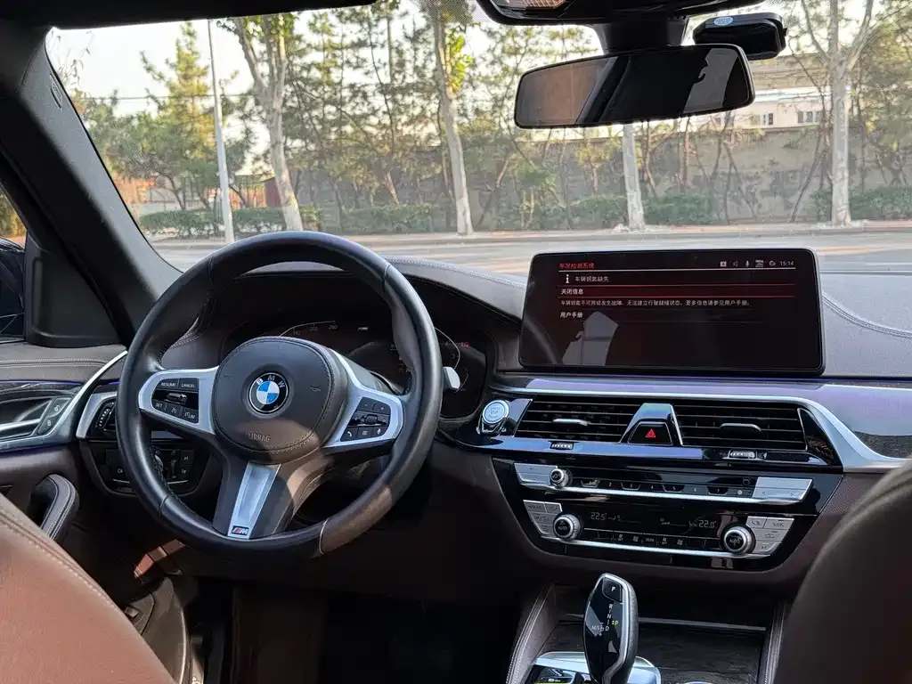 BMW 5 Series 2022 из CN, фото 6