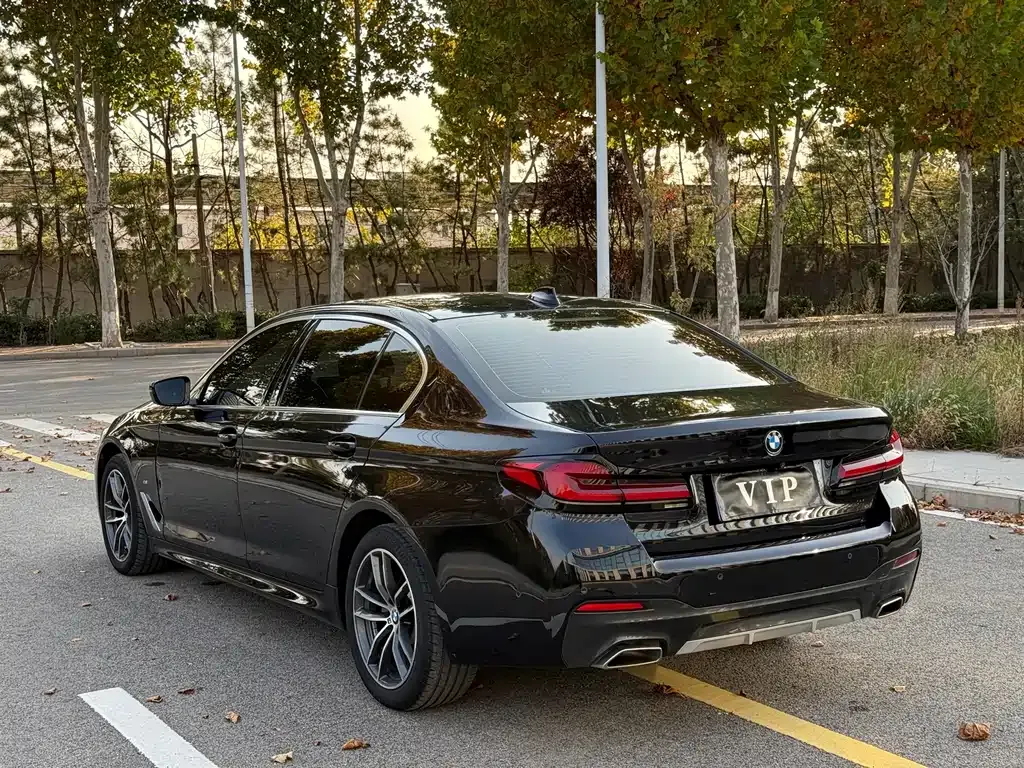 BMW 5 Series 2022 из CN, фото 9
