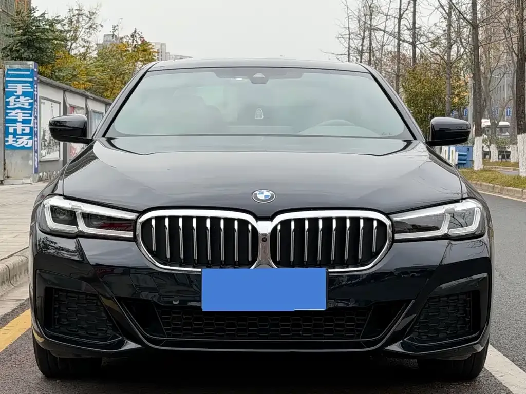 BMW 5 Series 2022 из CN, фото 2