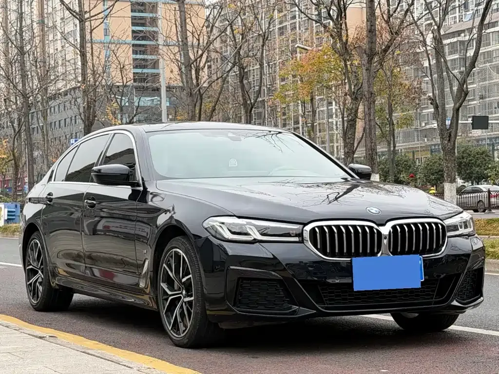 BMW 5 Series 2022 из CN, фото 3