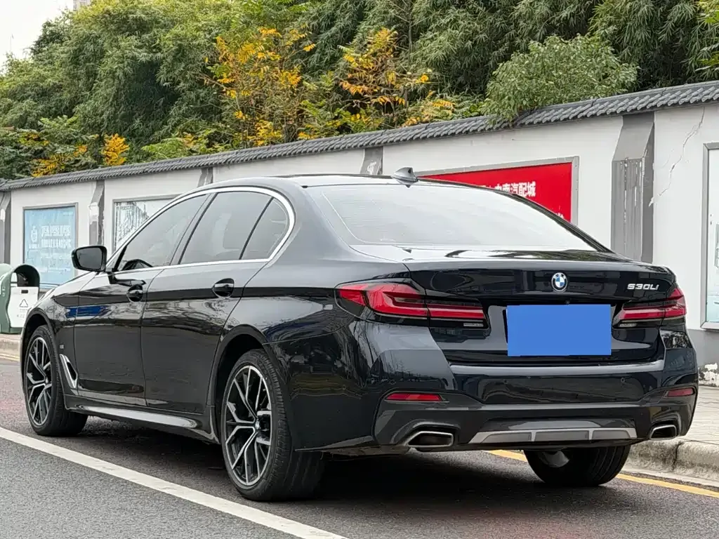 BMW 5 Series 2022 из CN, фото 7