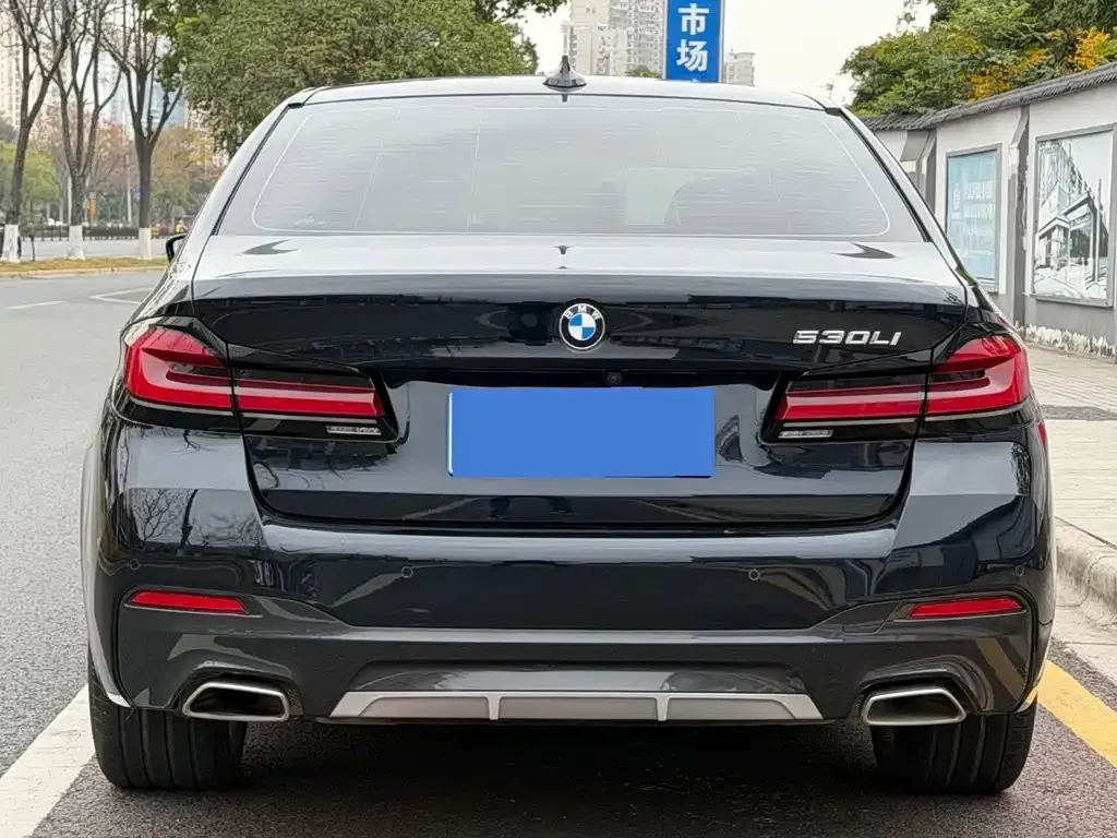 BMW 5 Series 2022 из CN, фото 8