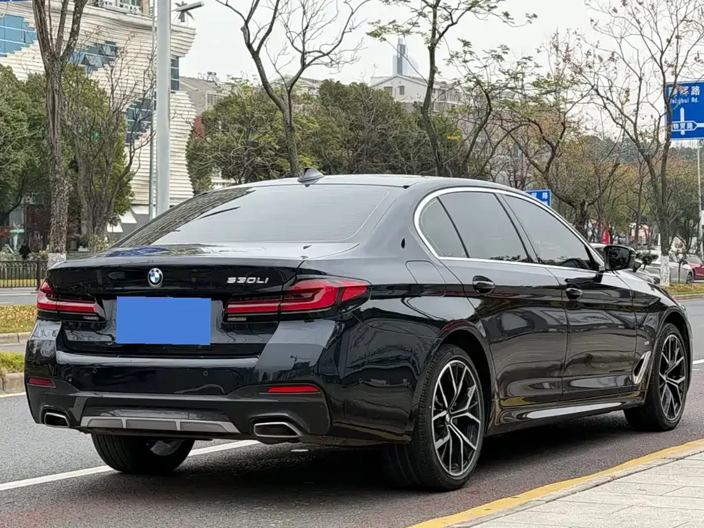 BMW 5 Series 2022 из CN, фото 9