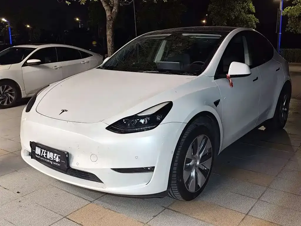 Tesla Model Y 2022 из CN, фото 1