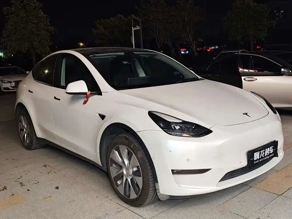 Tesla Model Y 2022 из CN, фото 3