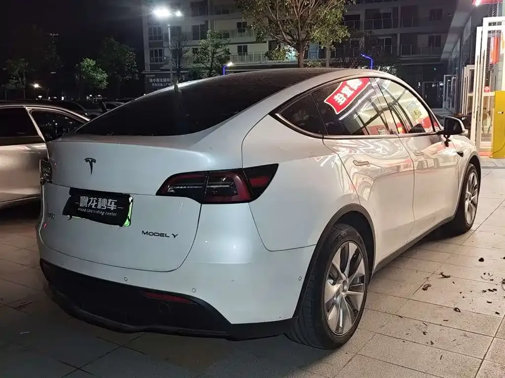 Tesla Model Y 2022 из CN, фото 9