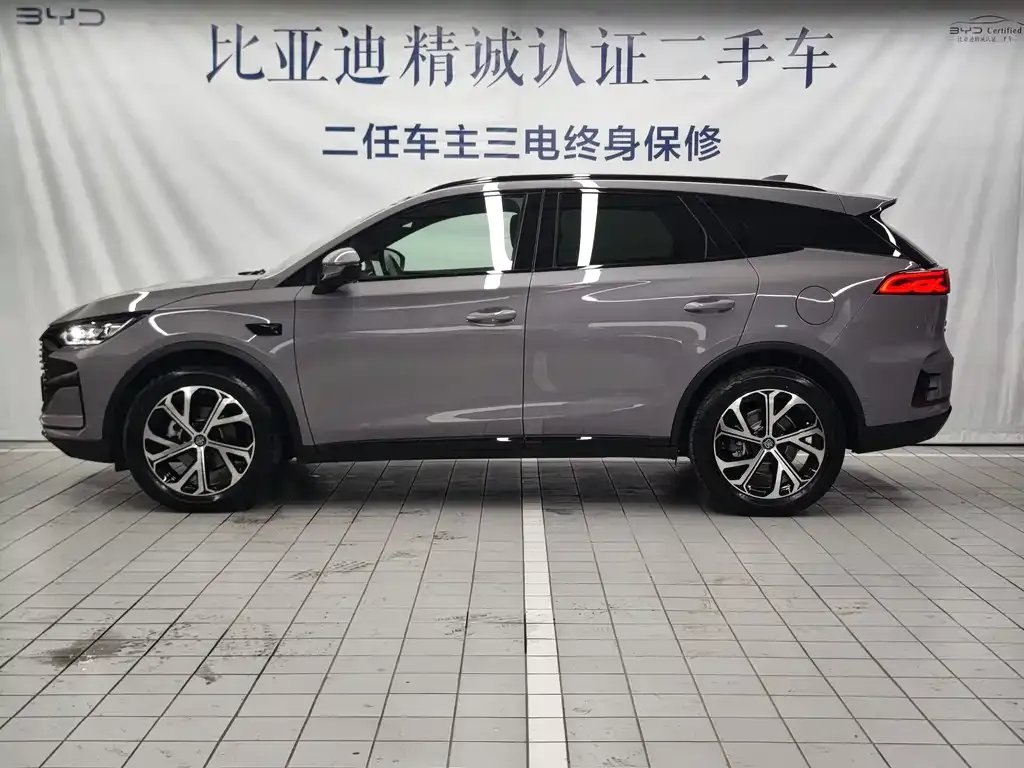 BYD Tang New Energy 2025 из CN, фото 2