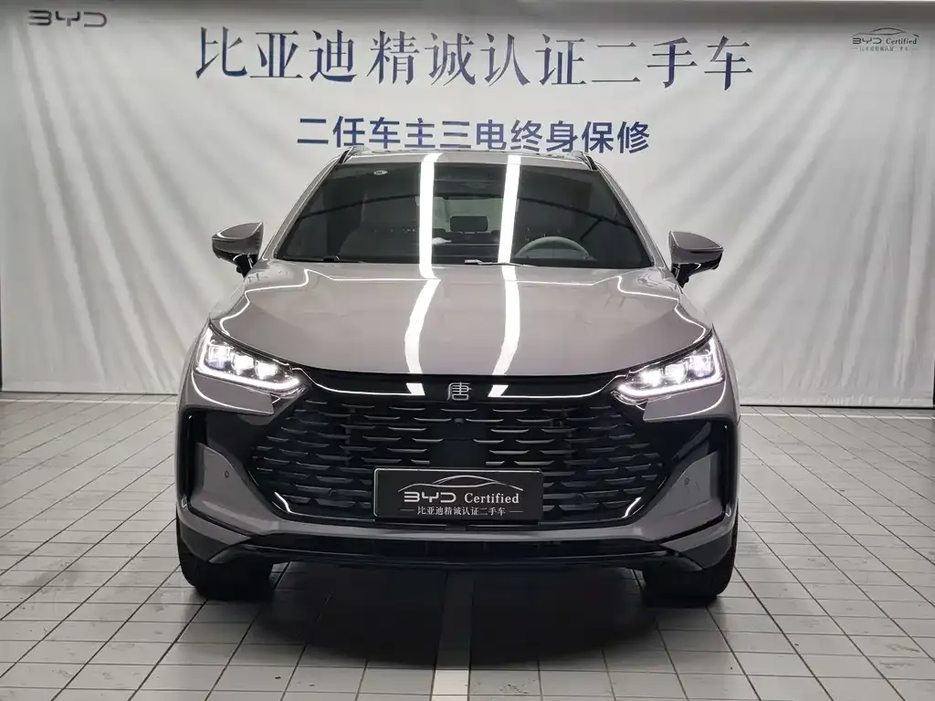 BYD Tang New Energy 2025 из CN, фото 3