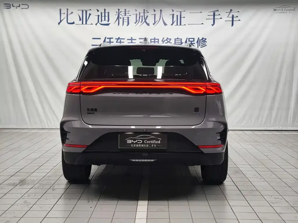 BYD Tang New Energy 2025 из CN, фото 4