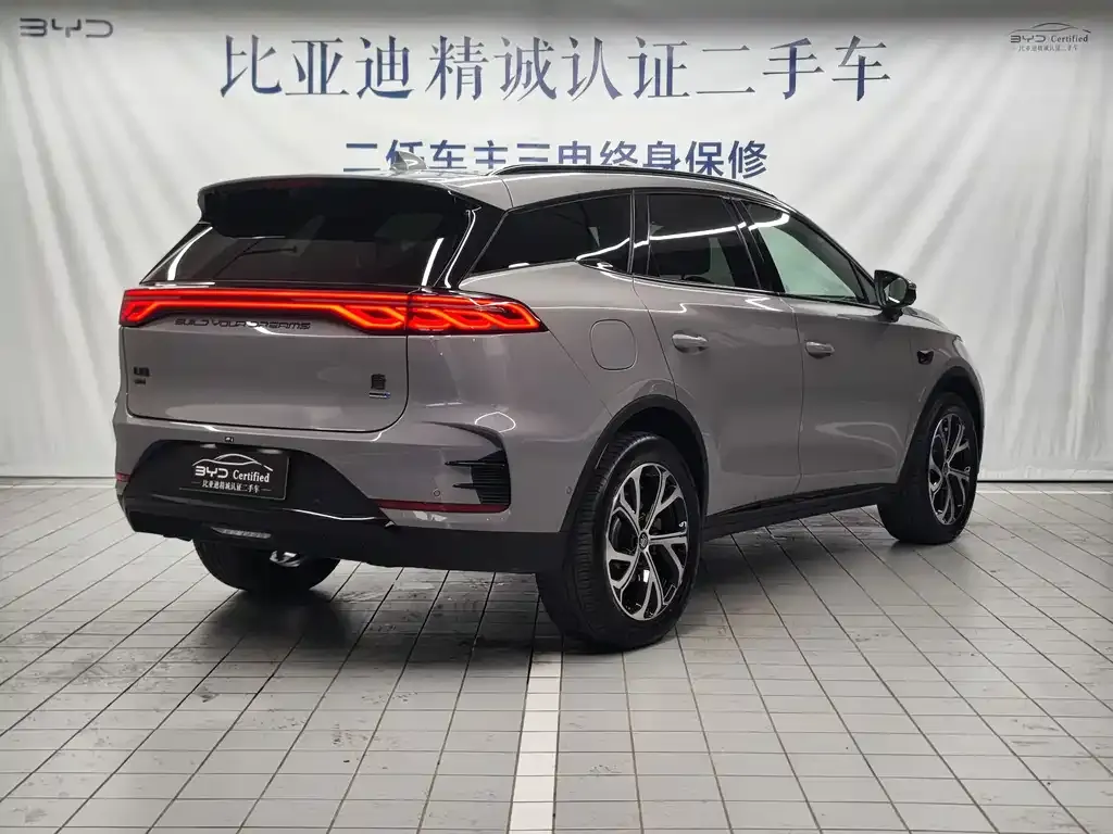 BYD Tang New Energy 2025 из CN, фото 5