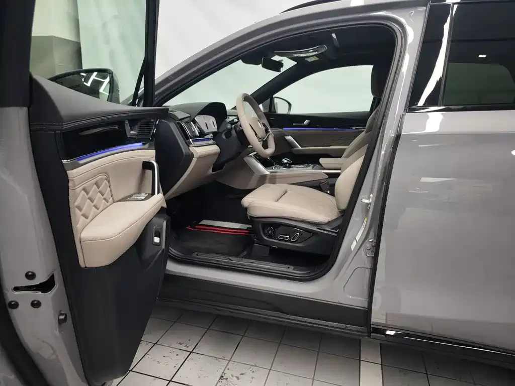 BYD Tang New Energy 2025 из CN, фото 6