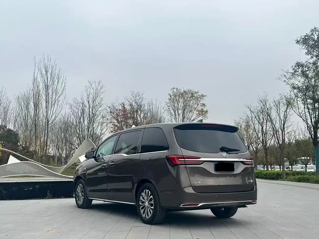 Buick GL8 2023 из CN, фото 9